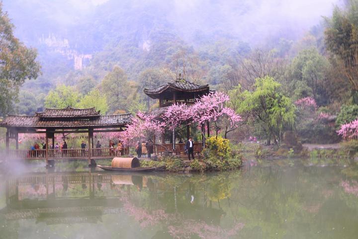 美人鱼的聚会